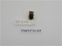 藏品(金龜子科)的圖片